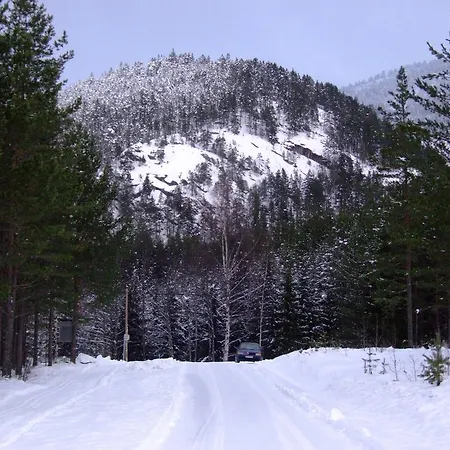 别墅 挪威湖畔别墅 弗罗达尔